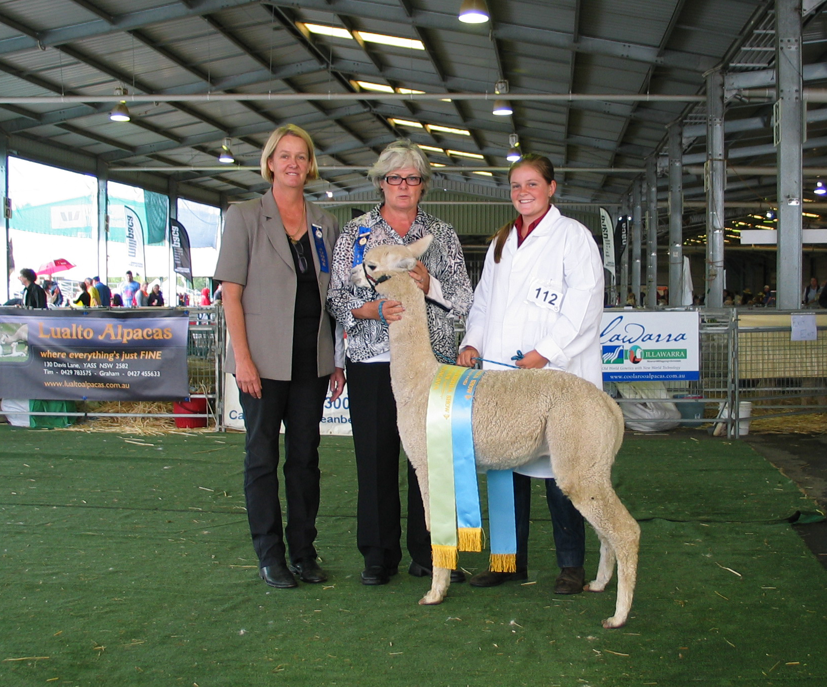 Alpaca Canberra Show